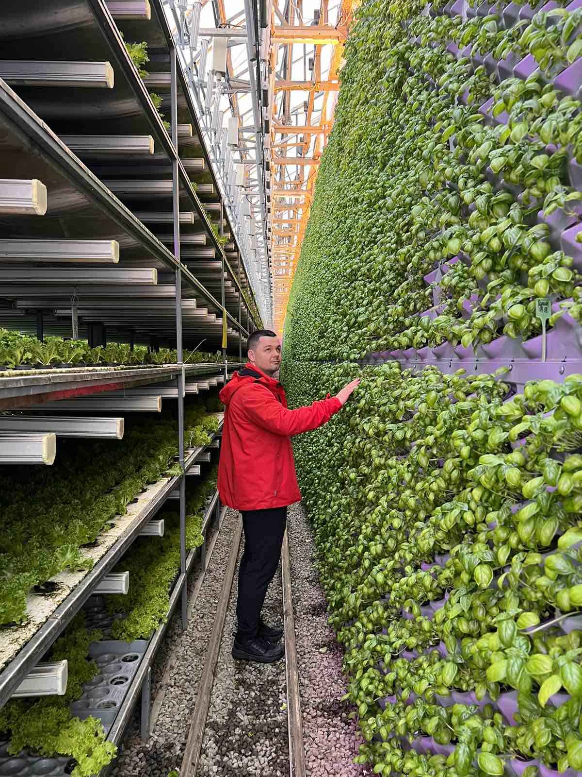 Андрій Дзендзель оглядає комплекс вертикального вирощування культур 